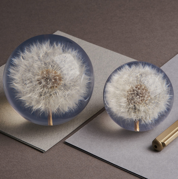 Dandelion Paperweight