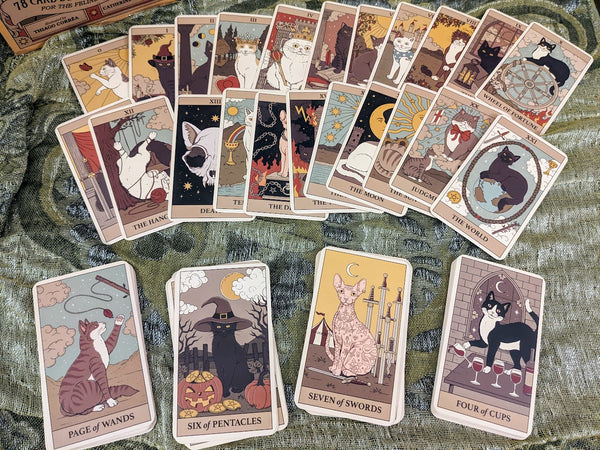Cats Rule The World Tarot Cards