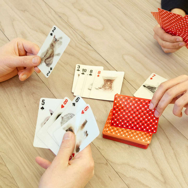 Kikkerland 3D playing Cards - Spillekort