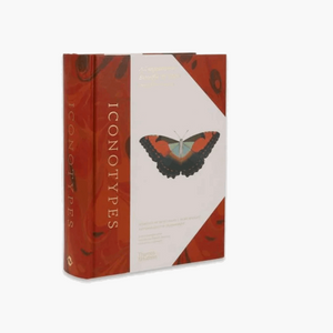 Iconotypees - Butterflies & Moths Book