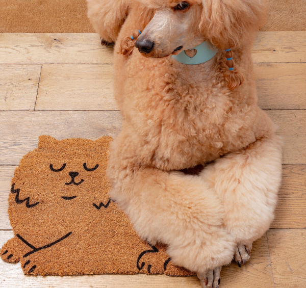 Cat Door Mat - intro price