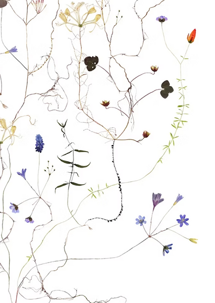 Lottas Trees - Autumn Tree