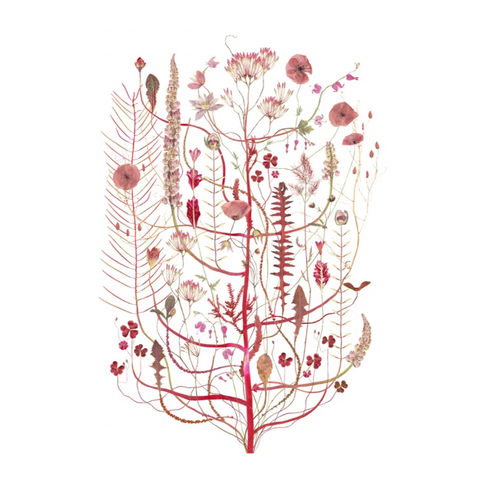 Lottas Trees - Pink Flora Print